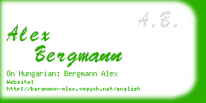 alex bergmann business card